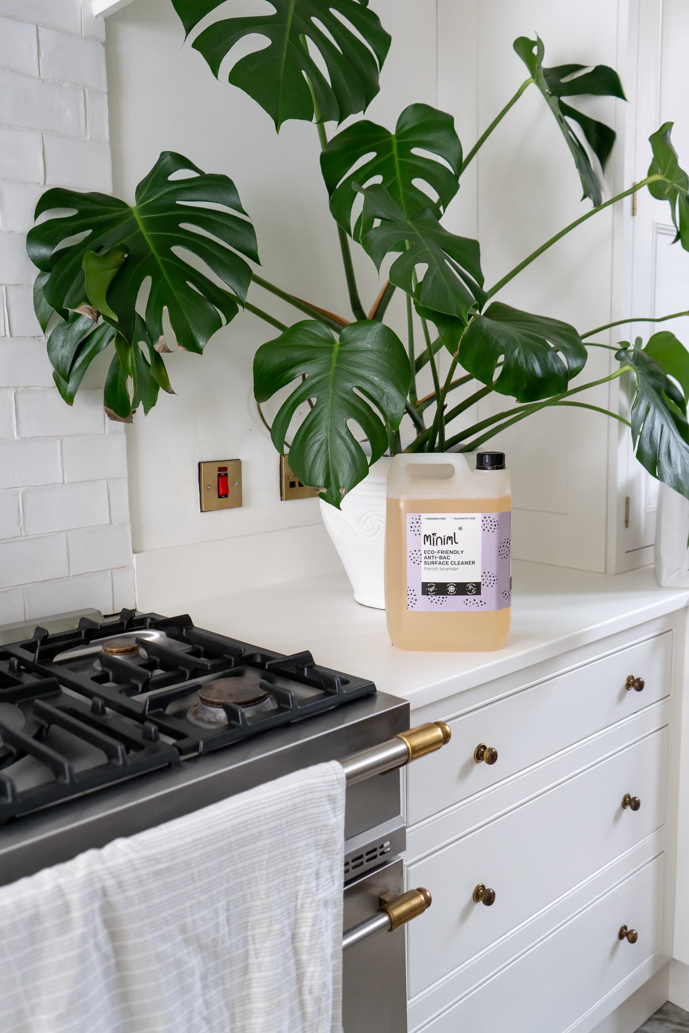 Professional domestic cleaning